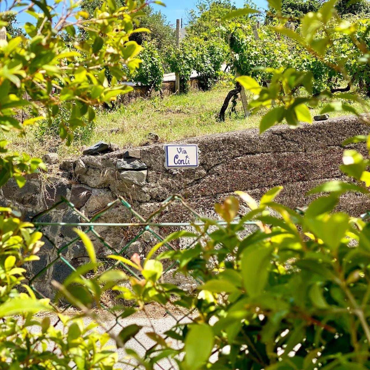 Casa Zagami Villa Malfa  Exteriör bild